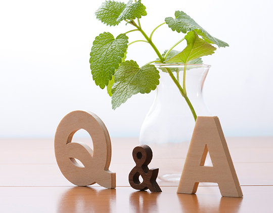 Q&A